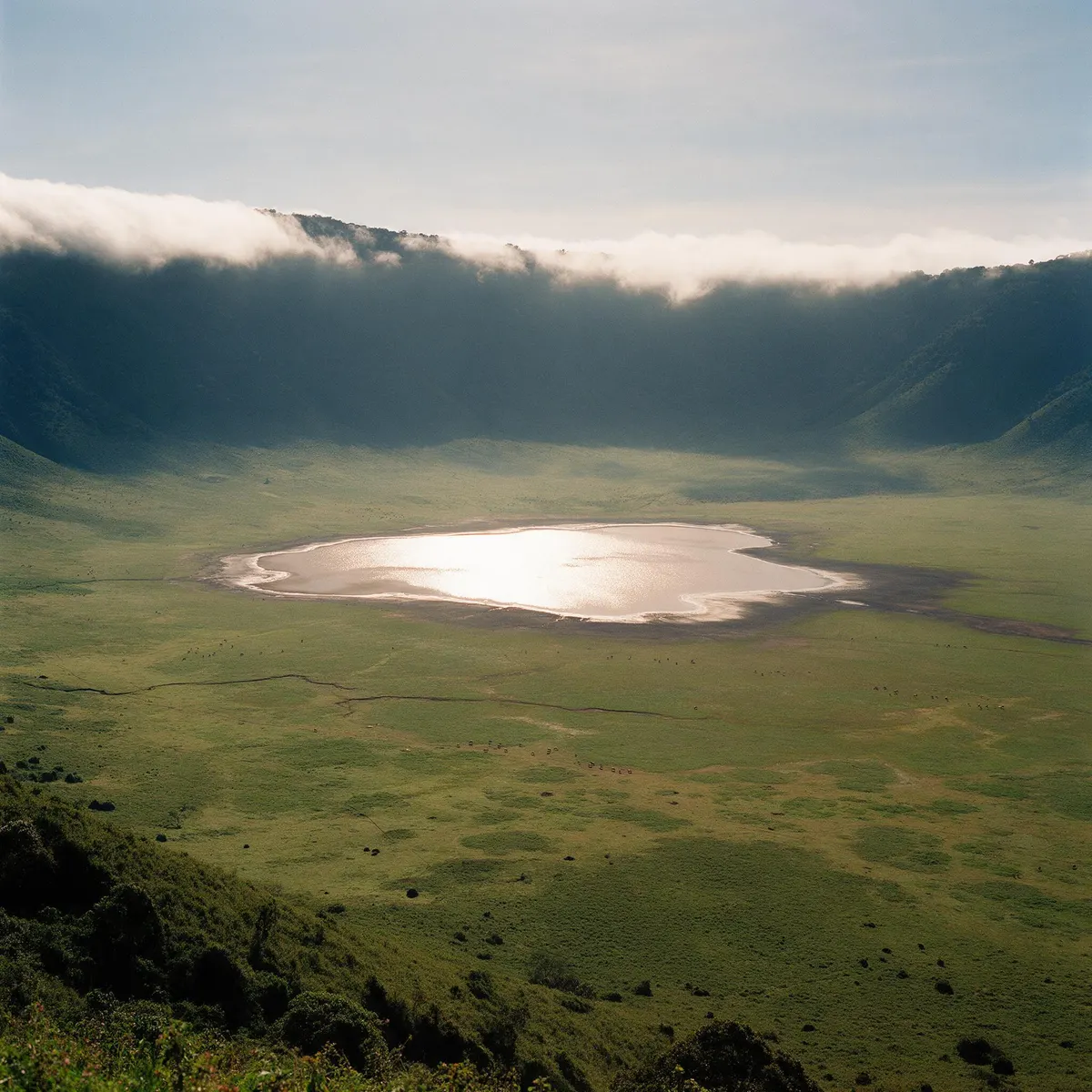 Vista del cráter del Ngorongoro desde el borde