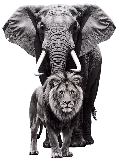 Elefante y león, la fauna emblemática de Tanzania