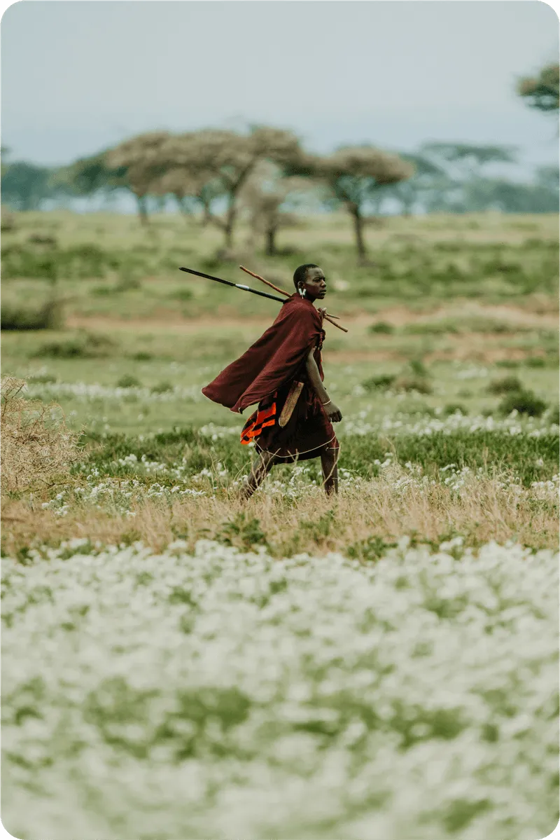 Guerrero masái caminando por la sabana de Tanzania
