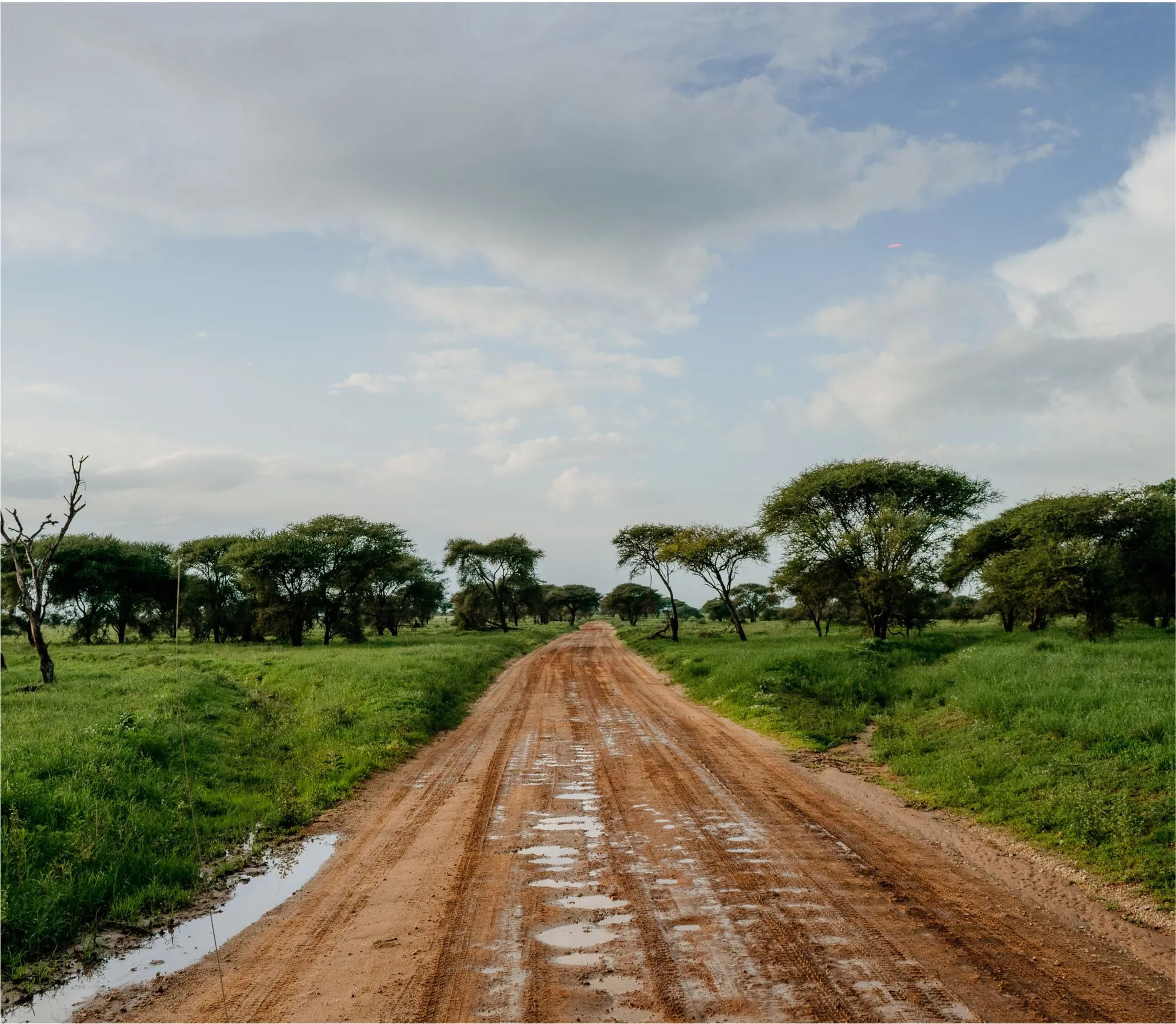 Pista de tierra rumbo al Serengeti